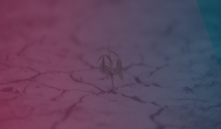 How to Build Operational Resilience in AP